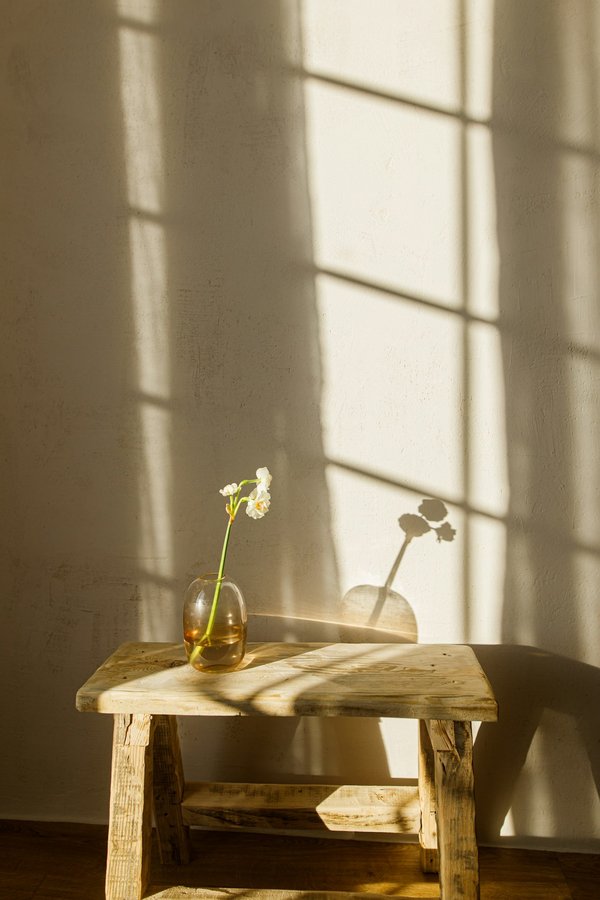 Vases pour une décoration intérieure : qualité et style abordables