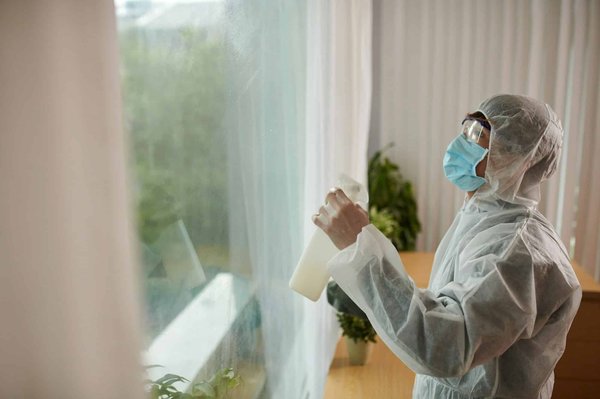 Entreprise anti nuisible : des solutions efficaces pour tous